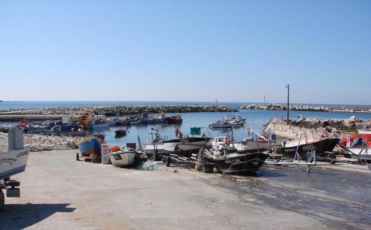 Autarquia de VPÂncora solidariza-se com reivindicações de pescadores locais