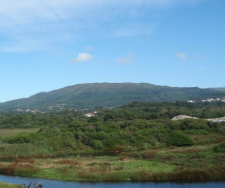 Polis Litoral Norte estuda melhor rota para ecovia no sapal do rio Âncora