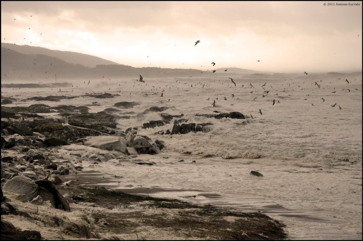Mar destrói duna de Vila Praia de Âncora