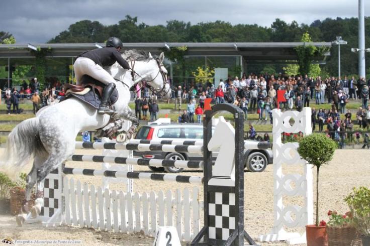 Provas equestres geram 1 milhão de euros em Ponte de Lima