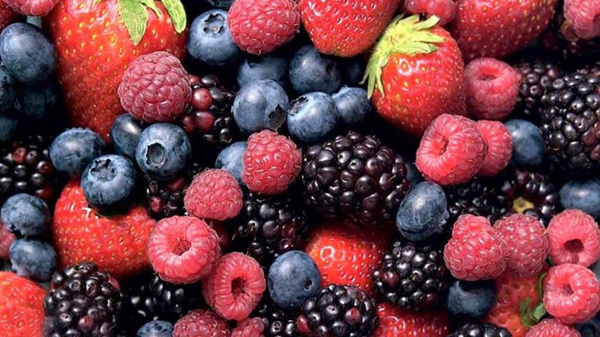 Produção de pequenos frutos alvo de análise em Caminha