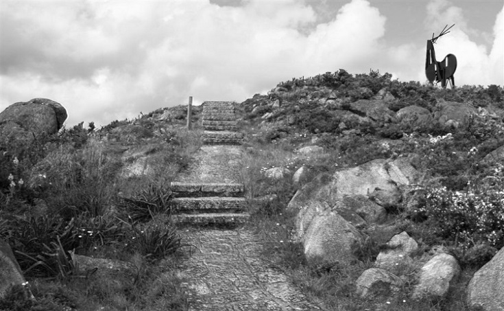 V. N. Cerveira associa-se à LPCC com a realização de 2 eventos solidários