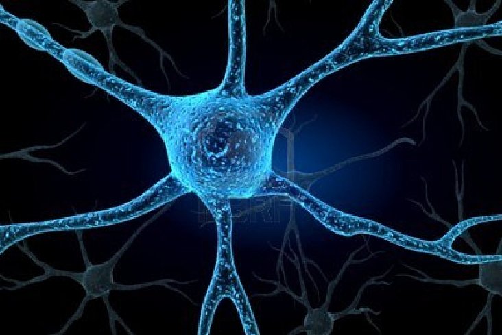 Misericórdia de Viana apoia criação do primeiro Centro em Intervenção Especializada em Demências da região