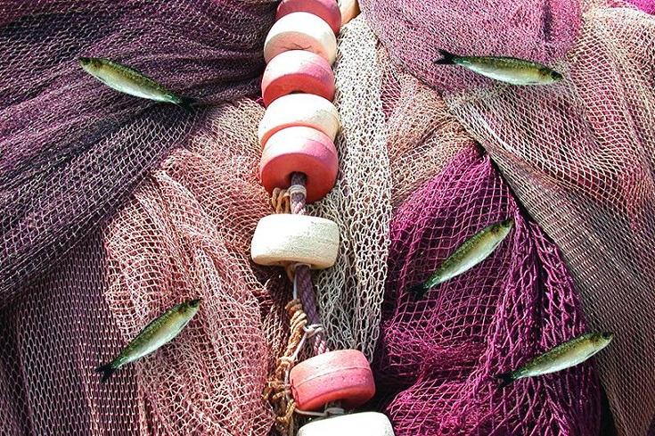 Entidades de Caminha juntam forças para conseguir excepção para os pescadores locais na pesca da sardinha