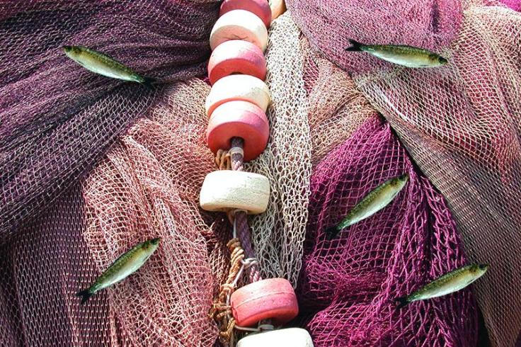 Festa do Mar e da Sardinha no último fim-de-semana de Junho Festa do Mar e da Sardinha no último fim-de-semana de Junho