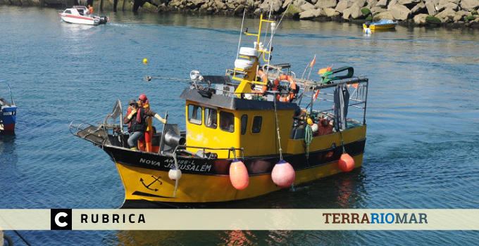 V.P. de Âncora – Um local de excelência para comer bom peixe V.P. de Âncora – Um local de excelência para comer bom peixe