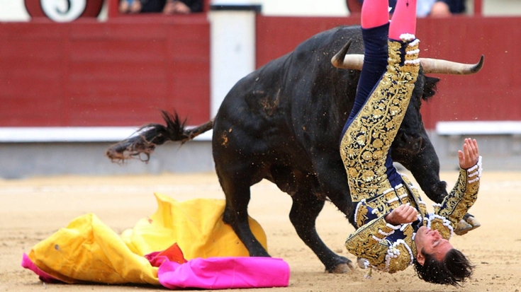 Movimento pró-tourada vai processar presidente da Câmara de Viana Movimento pró-tourada vai processar presidente da Câmara de Viana