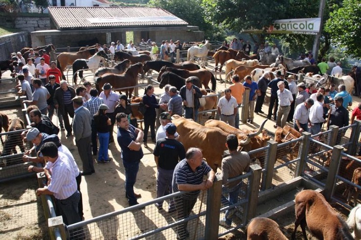 Mundo rural em destaque em Monção e Arcos de Valdevez