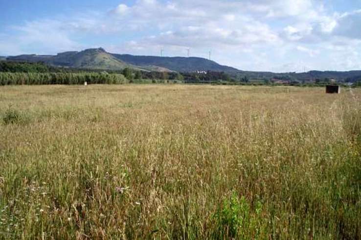 Câmara de Caminha promete “castigar” os proprietários de prédios abandonados e degradados