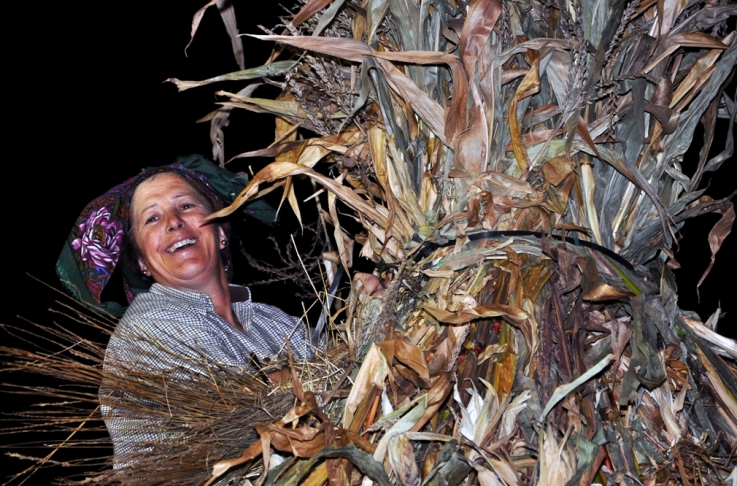 Venade vai estar um mês em festa