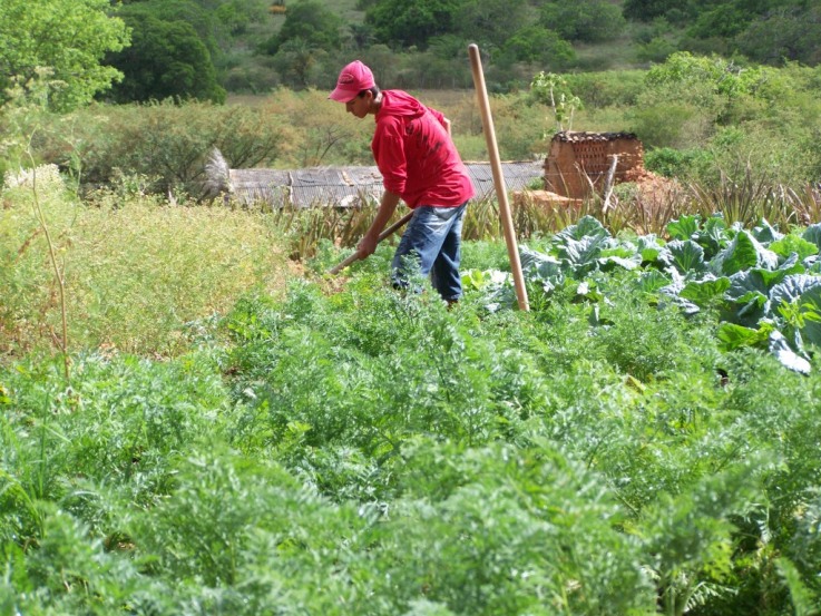 Ponte de Lima acolhe “Juventude, Inovação e Desenvolvimento Rural” Ponte de Lima acolhe “Juventude, Inovação e Desenvolvimento Rural”