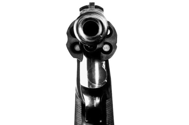 GNR detém idoso por posse ilegal de armas