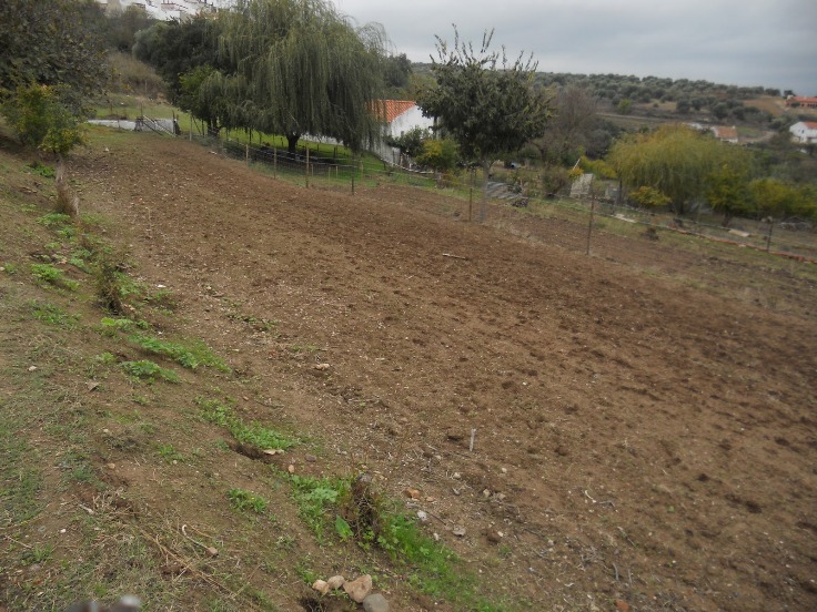 Câmara de Caminha obrigada a recuar na decisão de isentar os prédios rústicos de IMI