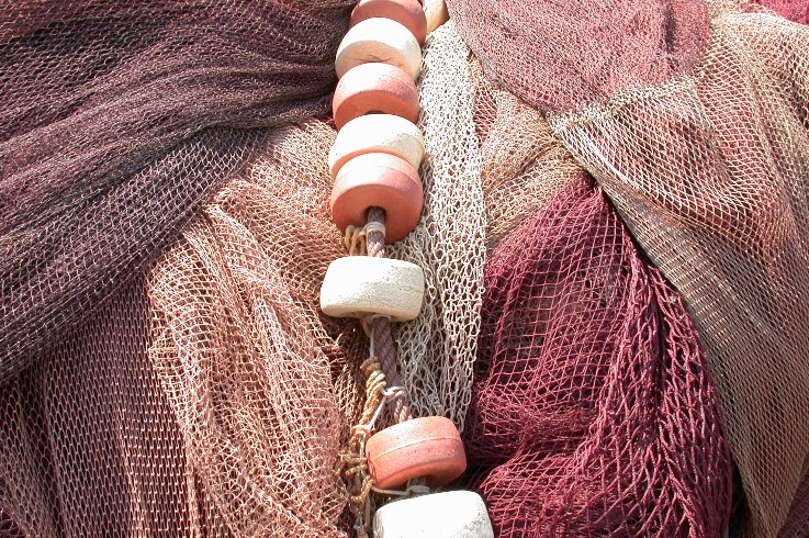 Pescadores e autarcas do Litoral Norte querem que ministra das Pescas garanta excepcionalidade para Portugal na utilização de redes de deriva Pescadores e autarcas do Litoral Norte querem que ministra das Pescas garanta excepcionalidade para Portugal na utilização de redes de deriva