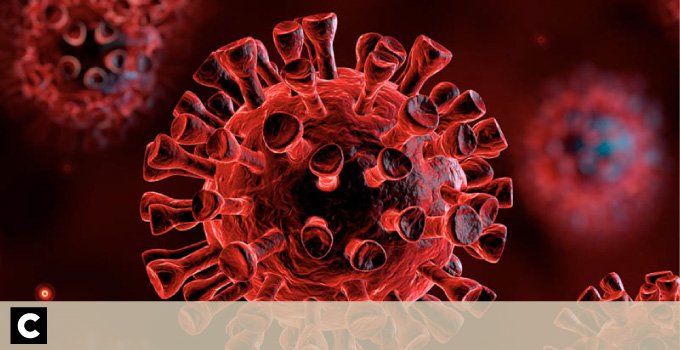 Galiza/Covid-19: 305 Casos confirmados