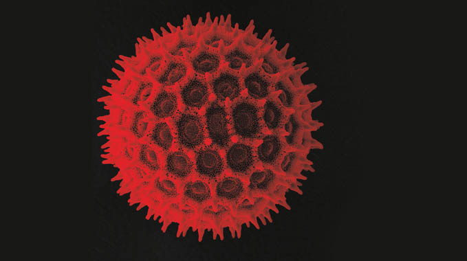 Seis discos para ouvir em tempos de quarentena