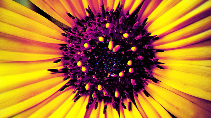 Existe uma ‘cena’ no jazz do Porto a descobrir