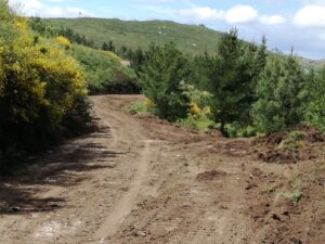 106615316_3565937160101126_7164201888345672670_o