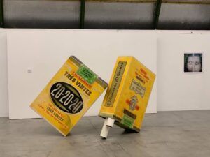 116566179_335295897635822_659188555485051813_n