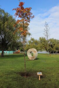 img_1277_1_980_2500