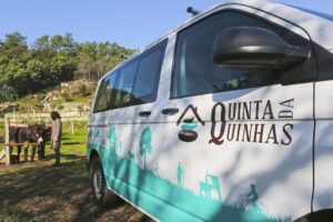 quinta2_1_1024_2500