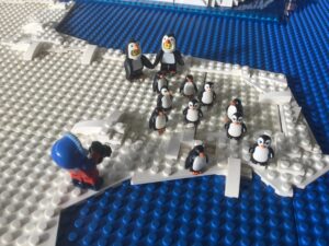 49588799881_c63b04c2b5_o