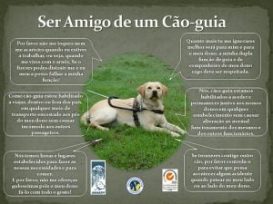 ser amigo de um cão guia
