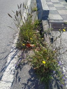 217666837_1979366785550902_3087147590850377175_n