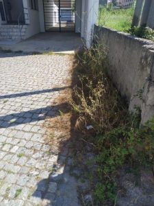 217764981_1979366652217582_7690392666157663411_n