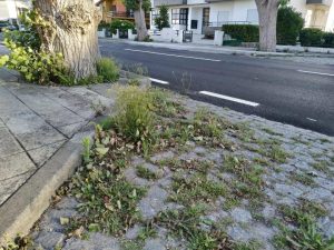 217967477_1979366862217561_3717963833208662113_n