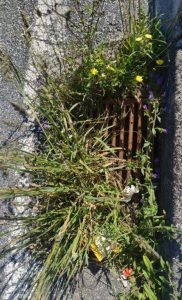 218023255_1979366758884238_2994539104274707752_n