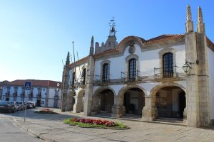 Camara caminha