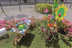 vpa em flor 22 3