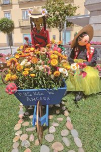 vpa em flor 22 4