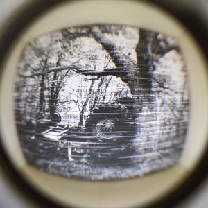 288030464_10224429529717316_4954744618666108989_n