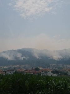 293088237_1390005524809365_954193245087523031_n