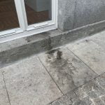 Biblioteca Caminha 1