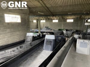 GNR Viana do Castelo - Apreensão