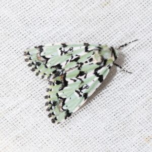 363432776_661563805998166_1621958424928203329_n