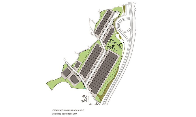 Ponte de Lima Governo autoriza abate de sobreiros para acabar polo