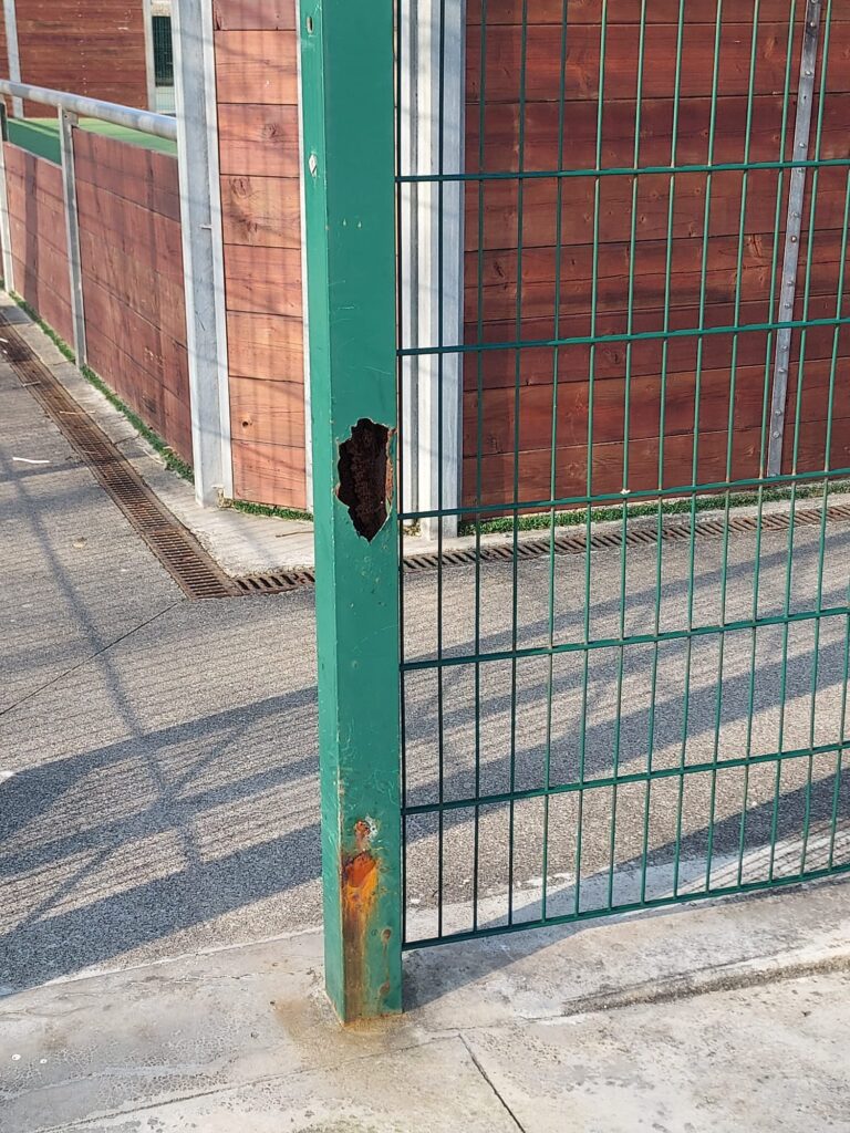 425854556 10224550622289431 542376061812061763 N