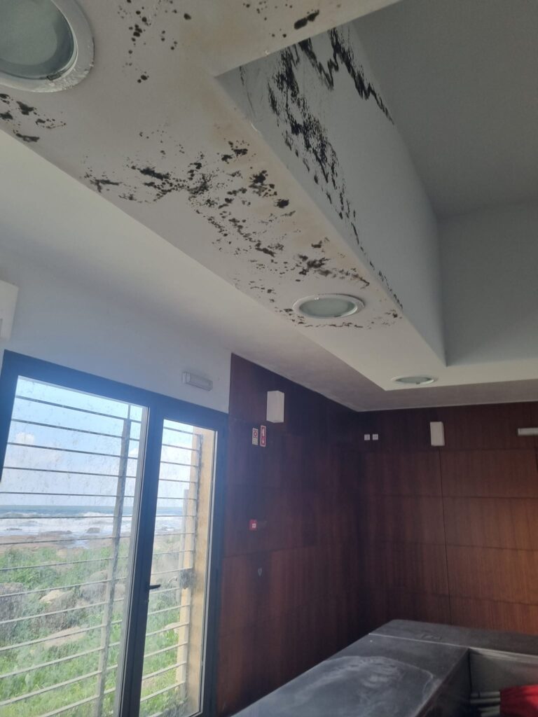 429829037 10224671665875445 7906445470980040216 N