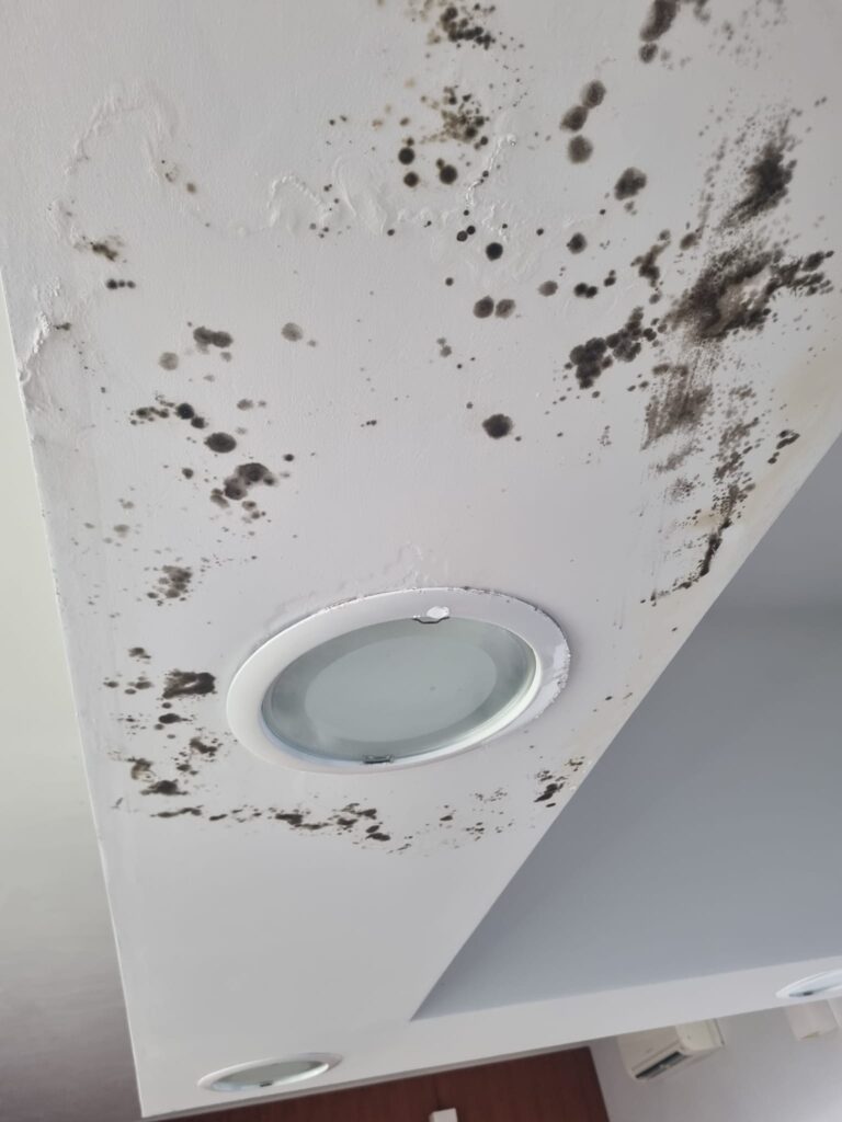 429868625 10224671665355432 6299504268826532799 N