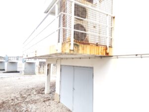 438146474 1140193524082275 3935924528169763714 N