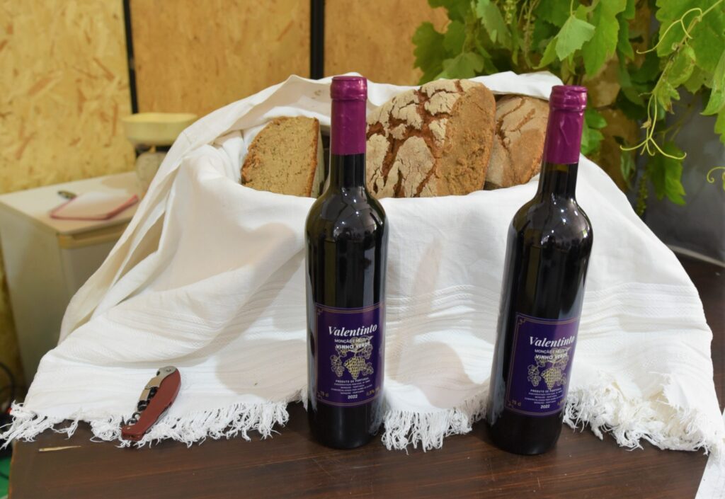 441136980 913272910828191 4500847929563050198 N