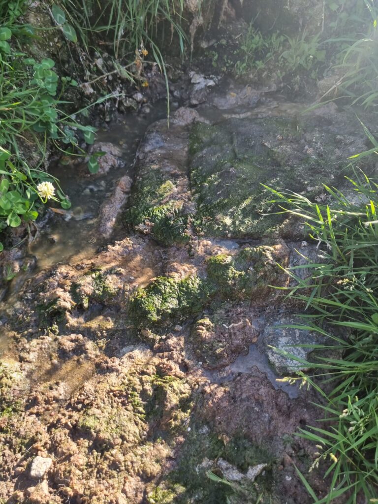 441903581 10225068728601765 2574007335090104951 N