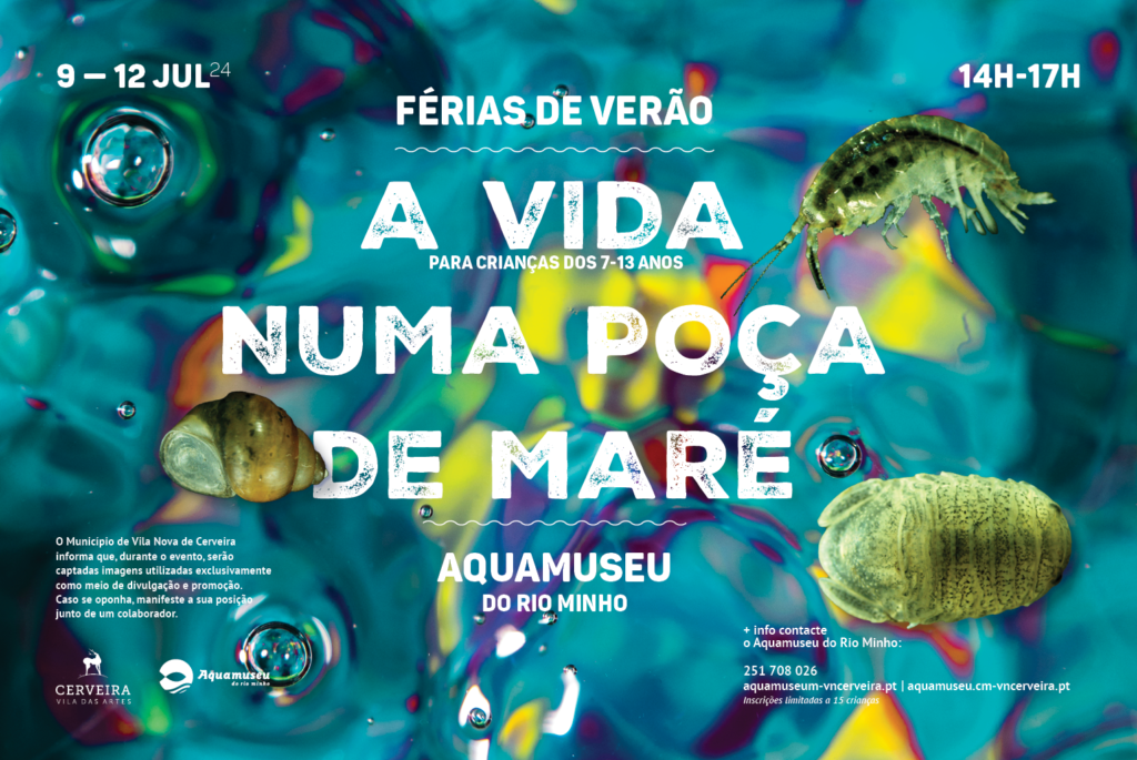 Foto Noticias Site Ferias Verao