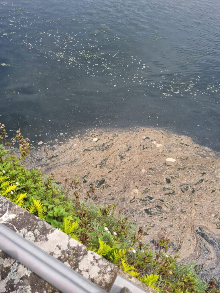 água Rio Coura Turva