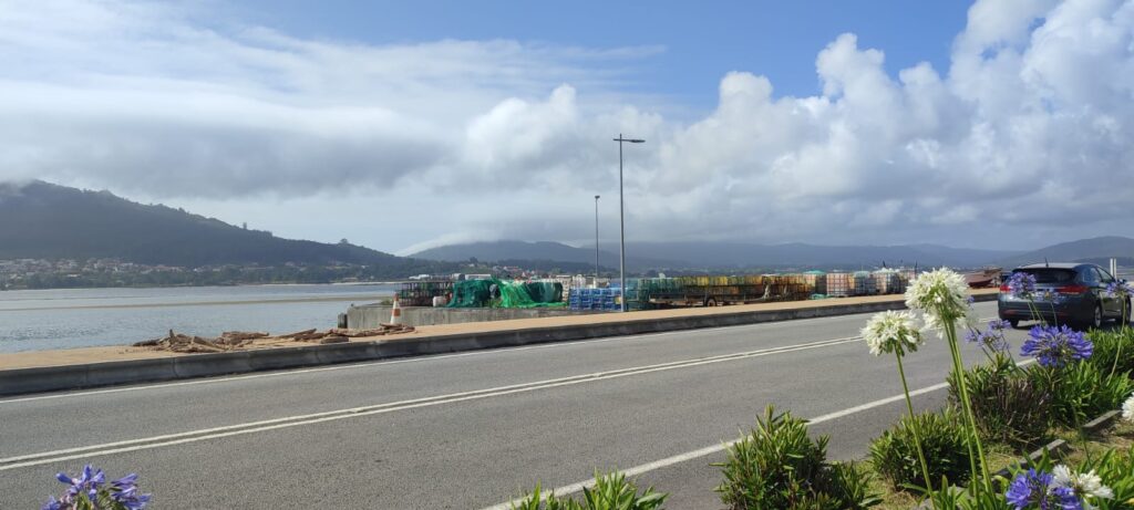 Marginal 15 Jul 2024 3