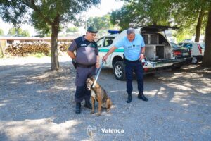 Bastao Gnr Valença 2